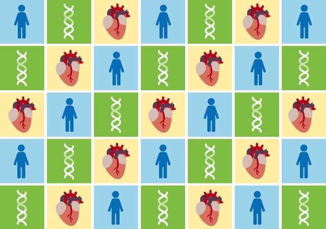更多样的数据集带来更好的遗传心脏病的风险预测