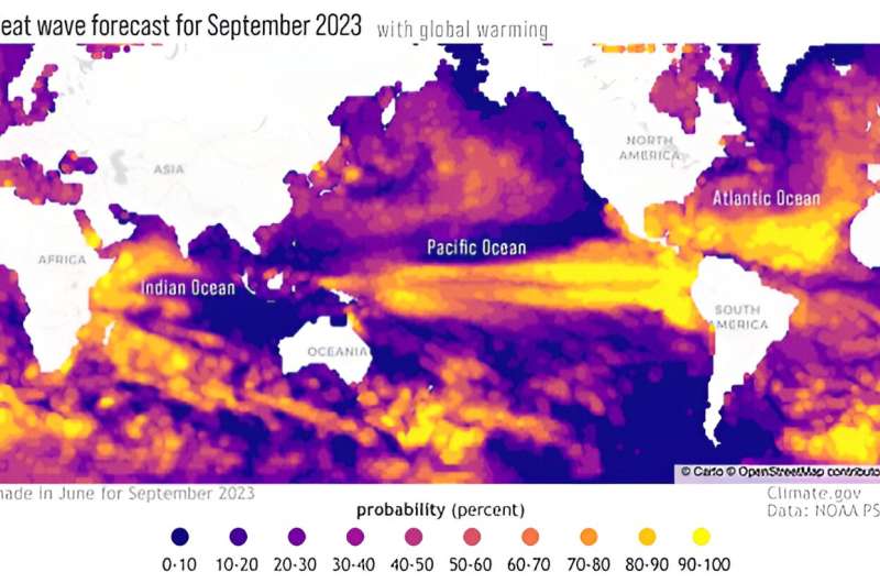 More marine heatwaves could spell disaster for ocean life