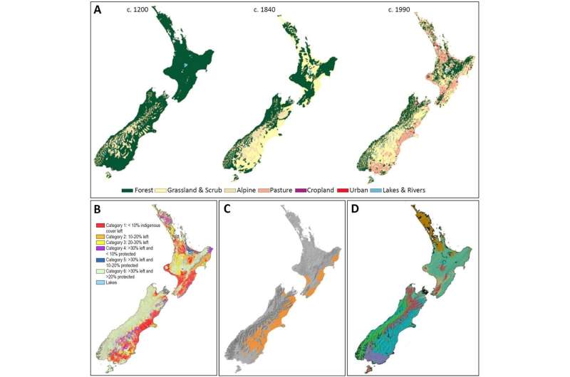 More pragmatic approach needed when sourcing seeds for ecological restoration in NZ
