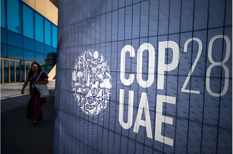 More than 1,100 CEOs and heads of philanthropic organisations were due to take part in COP28