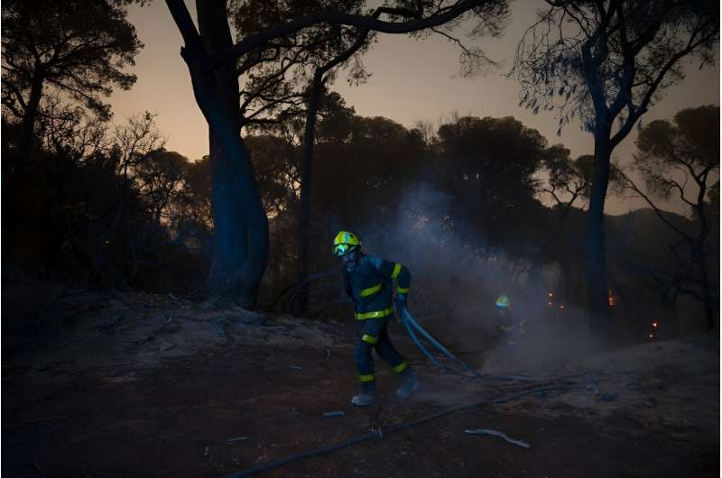 More than 70,000 hectares have burned in Spain since the beginning of the year