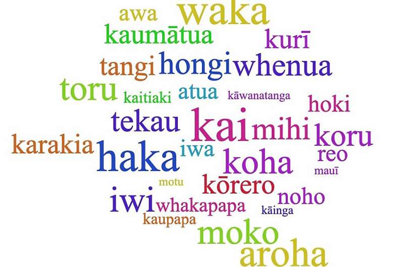 Māori words known but not always understood