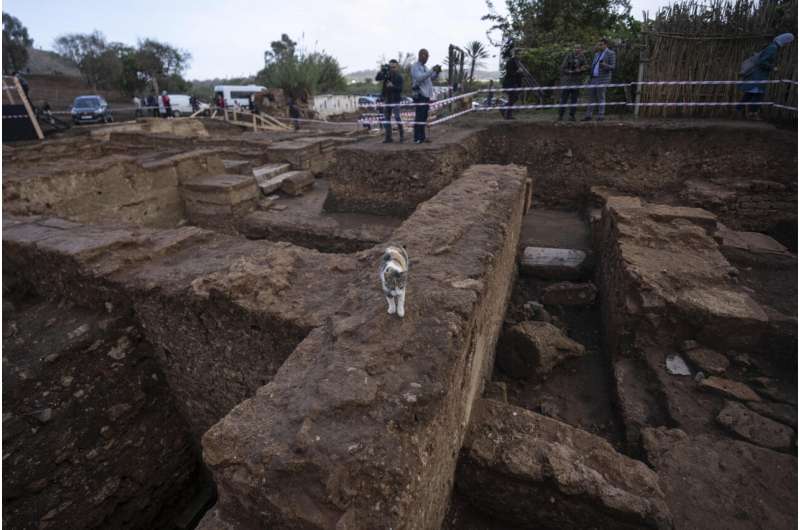 Moroccan archaeologists unearth new ruins at Chellah, a tourism-friendly ancient port near Rabat