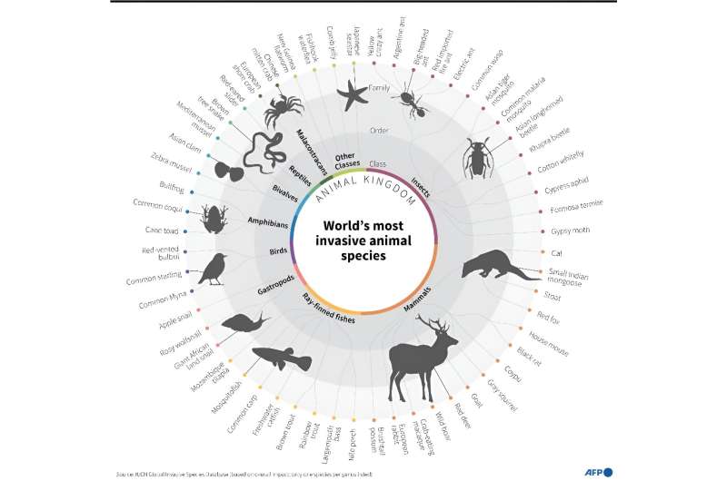 Most invasive animal species