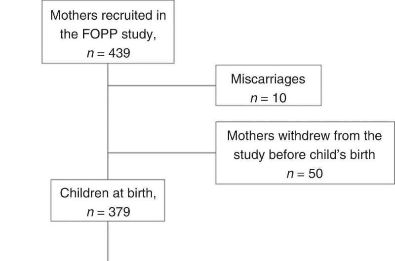Mother's health and lifestyle during pregnancy shape neurodevelopment of 2-year-old children
