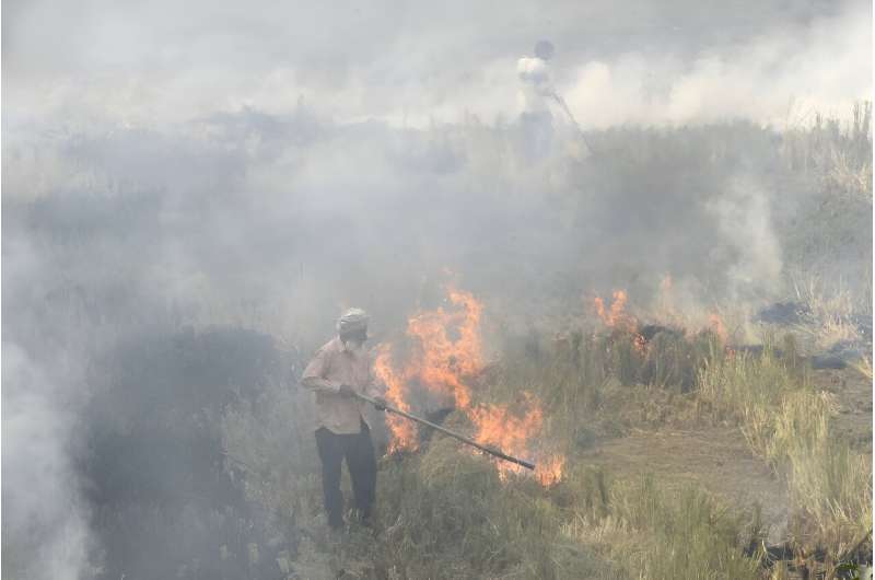Much of the smog in New Delhi comes from farmers burning stubble after harvesting, as seen in this photo taken on November 6, 2019