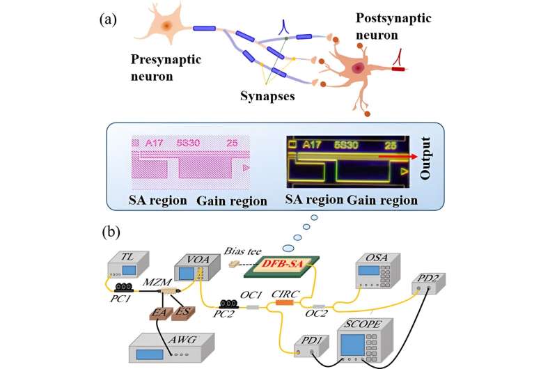 Multi-synaptic photonic SNN based on a DFB-SA chip