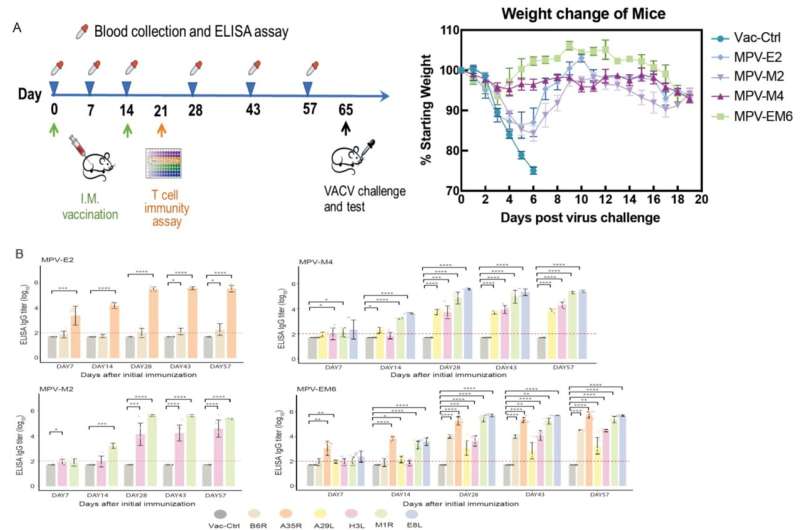 Multi-valent mRNA vaccines against monkeypox enveloped or mature viron surface antigens for enhanced protection