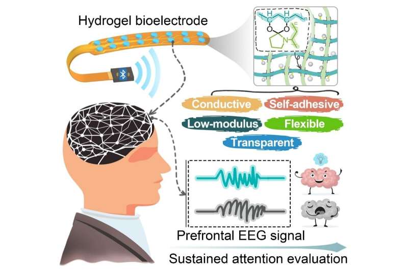 Multifunctional hydrogel electrode helps to collect high-quality electroencephalography signals