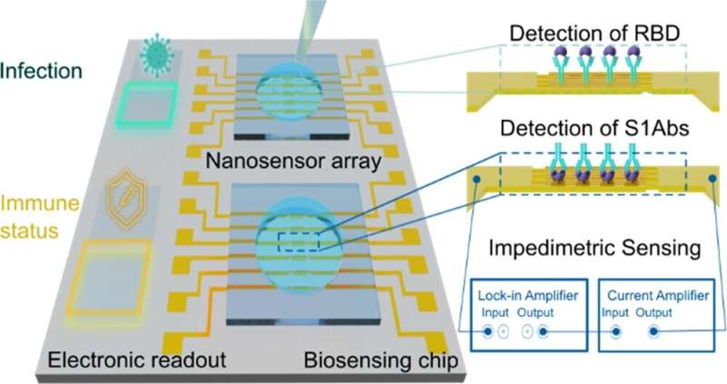 Nanobiosensor developed for detecting SARS-coV-2