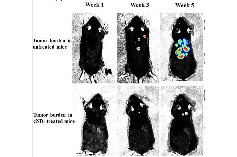 Nanodiamonds block tumor metastasis in mice