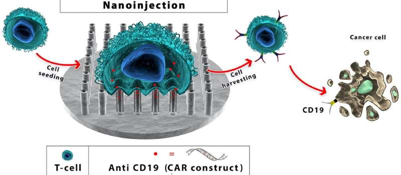 Nanoneedle breakthrough gives hope for cheaper cancer treatment