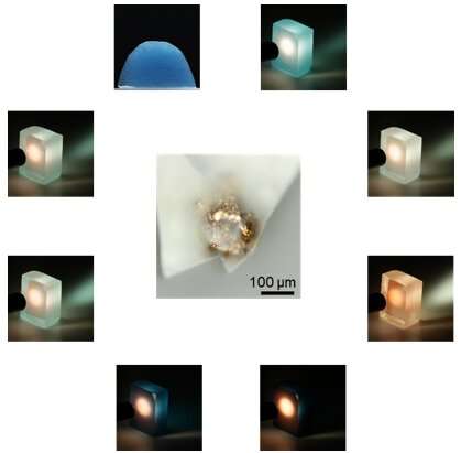 Nanoparticle magic: fine-tuning gold nanoparticles in tellurite glass for unique photonics