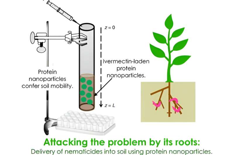 Nanoparticles made from plant viruses could be farmers' new ally in pest control