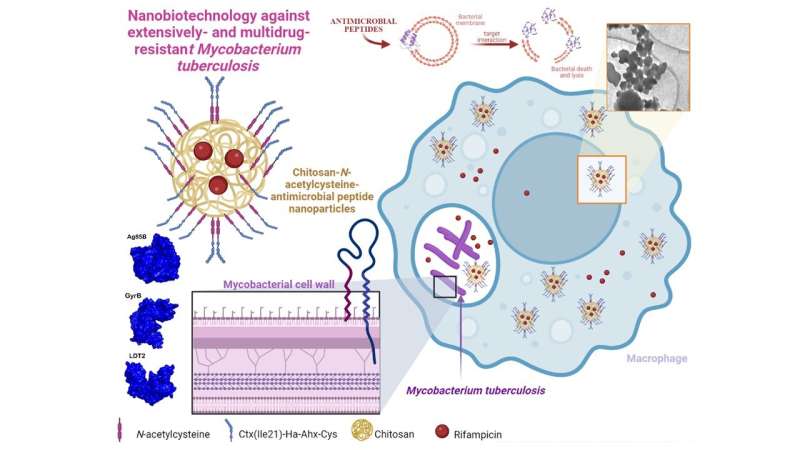 Nanodeeltjes met antibacteriële werking verkorten de duur van de tuberculosebehandeling