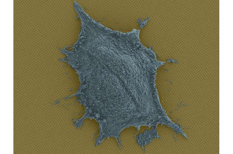 Nanoplasmonic imaging reveals real-time protein secretion