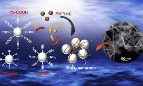 Nanoplastics unexpectedly produce reactive oxidizing species when exposed to light