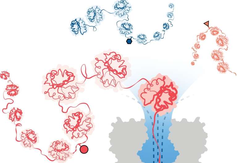 Nanopore technology achieves breakthrough in protein variant detection