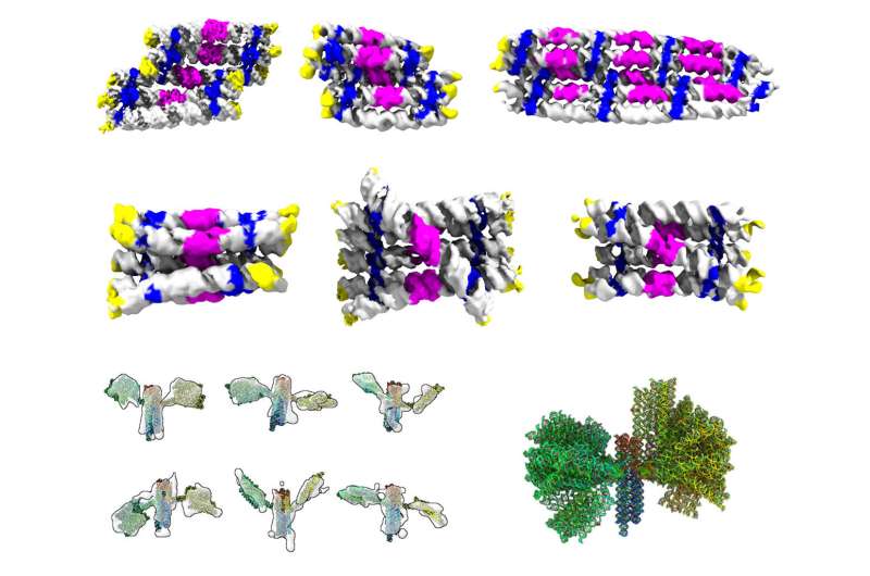 Nanosatelliet wijst de weg naar de RNA-geneeskunde van de toekomst