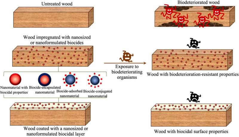 Nanotechnology approaches towards biodeterioration-resistant wood