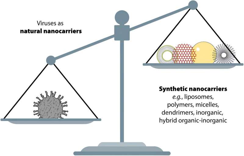 Nanotechnology in the fight against viruses