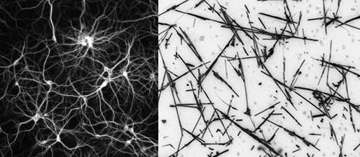 Nanowire networks learn and remember like a human brain