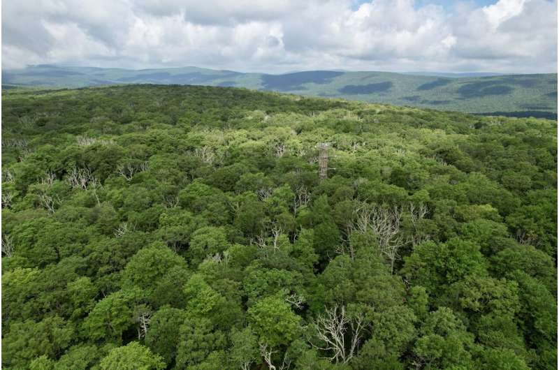 NASA to measure forest health from above