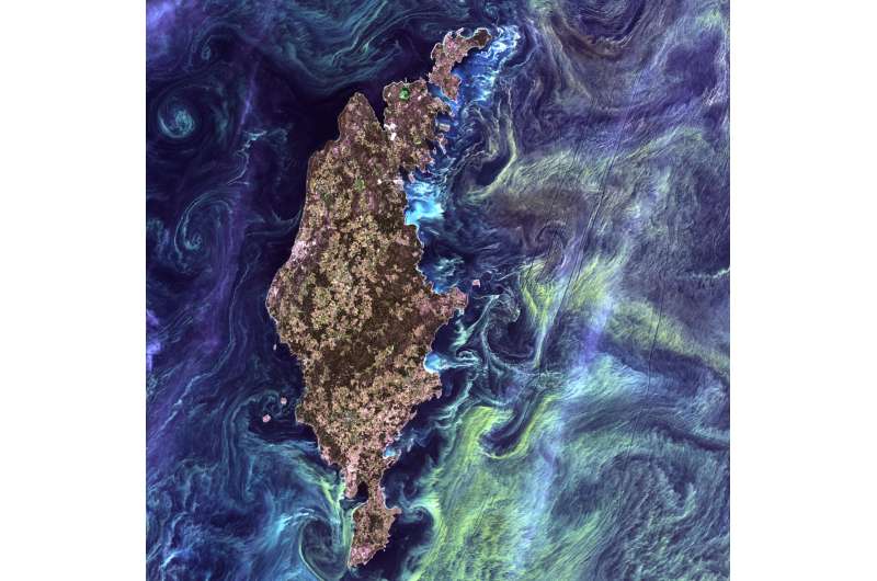 NASA wants to identify phytoplankton species from space. Here's why