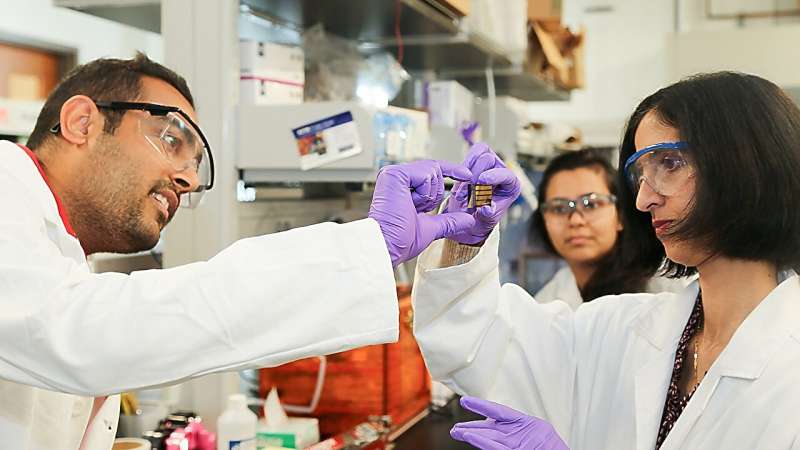 National network of biomedical engineers offer a six-step roadmap to diversify faculty hiring