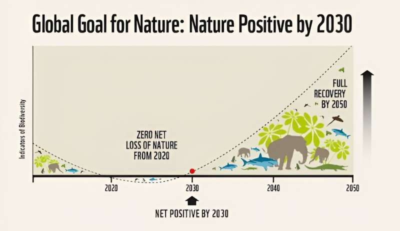 'Nature positive' isn't just planting a few trees—it's actually stopping the damage we do