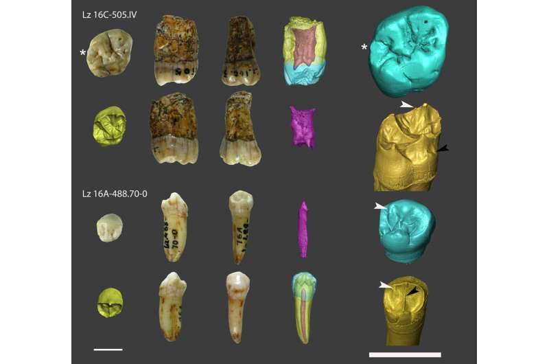 Neanderthal presence in Guipuskoa confirmed much later than previously believed