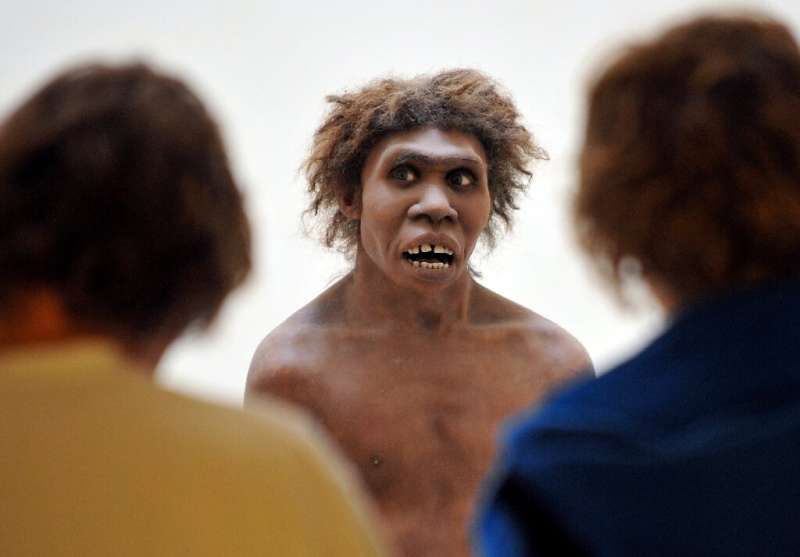Neanderthals (model pictured here) and modern humans could have spilt from a shared ancestor, a study suggests