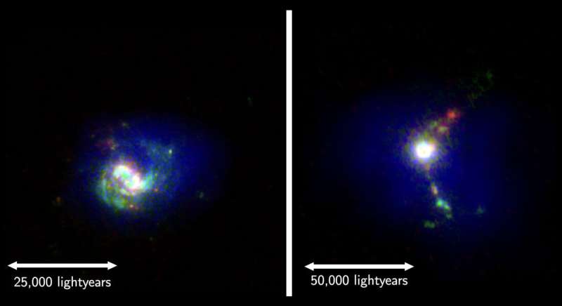 Nearby galaxies help astronomers understand distant galaxies