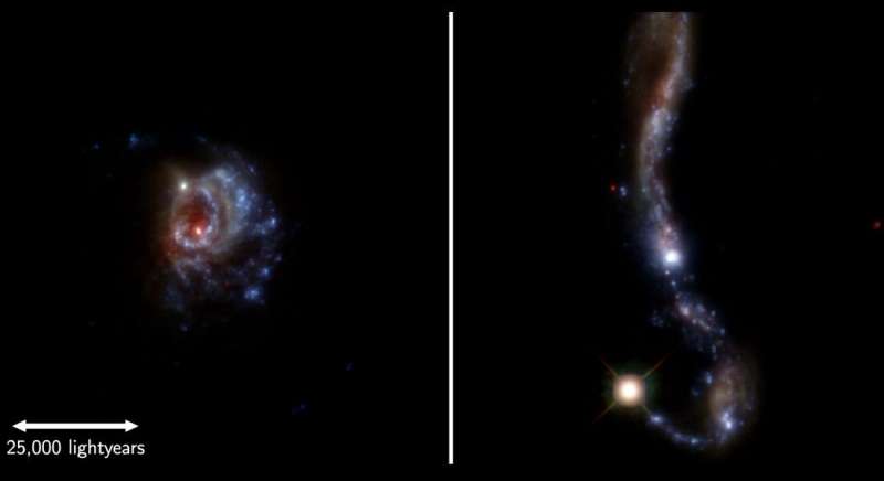 Nearby galaxies help astronomers understand distant galaxies
