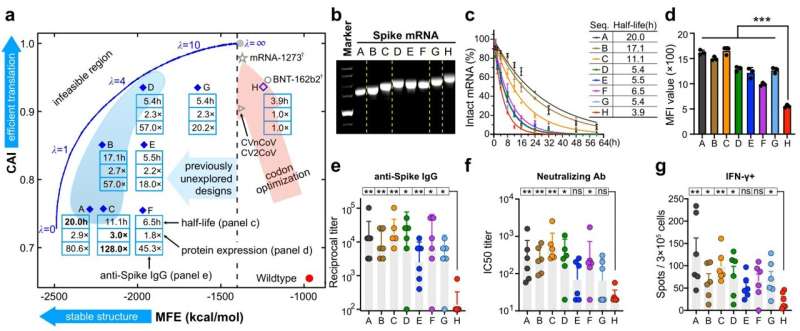 New AI algorithm boosts COVID-19 mRNA vaccine antibody response by 128 times