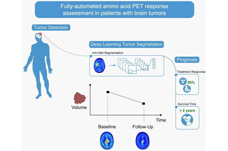 New AI tool for PET imaging allows for high-quality, fully automated evaluation of brain tumors