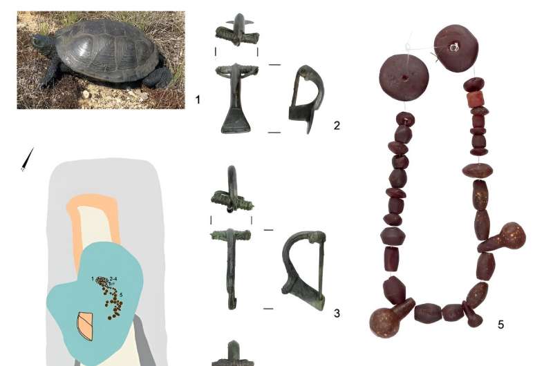 New analysis sheds light on mystery of turtle remains found in a Roman Iron Age grave in Poland
