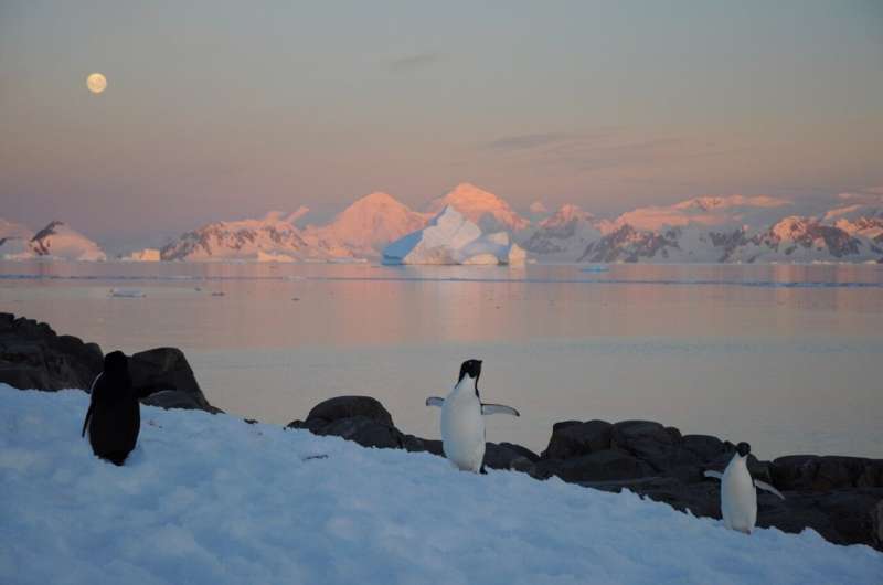New Antarctic extremes 'virtually certain' as world warms