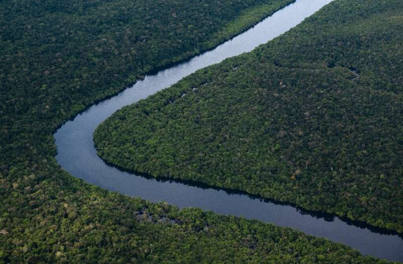 New Brazilian President Luiz Inacio Lula da Silva has promised to protect the environment, including the Amazon rainforest, a po