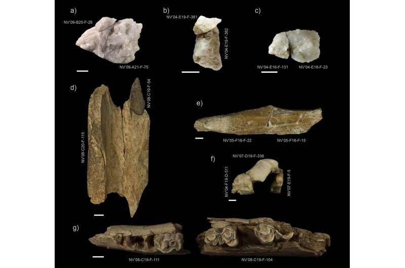 New clues to the behavioral variability of Neanderthal hunting parties