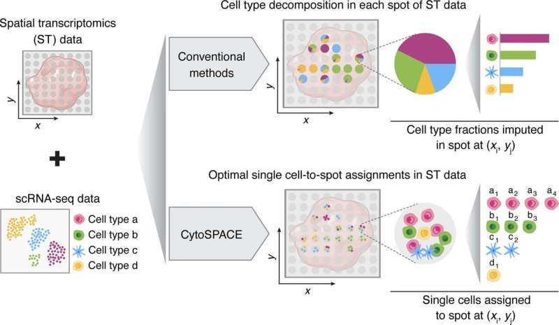 New computational method to identify location of cell types in a sample