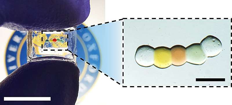 New 'droplet battery' could pave the way for miniature bio-integrated devices