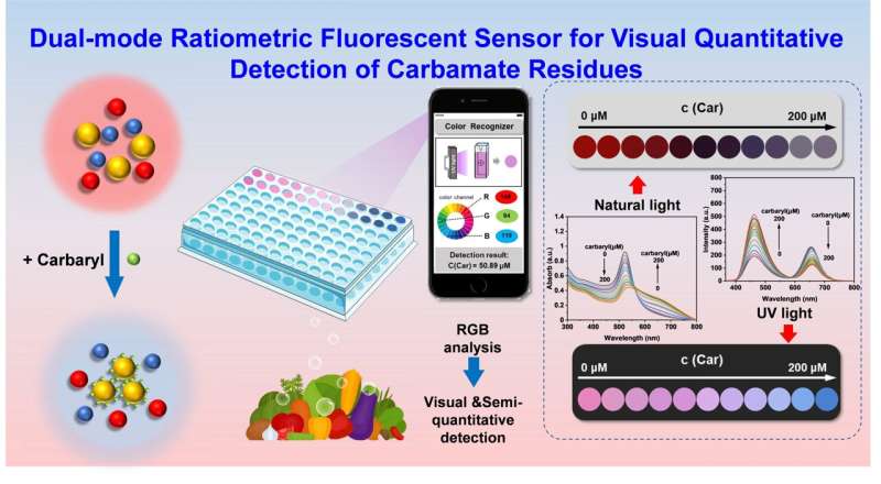New dual mode ratio fluorescence sensing system enables rapid in situ detection of carbaryl residues