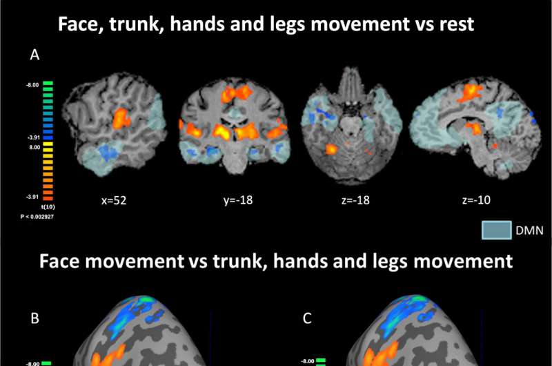 New evidence for sub-network specializations within the Default Mode Network of Brain Activation and Self-Perception