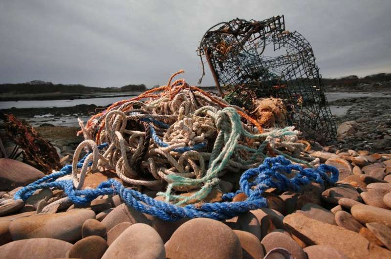 New federal program targets abandoned crab, lobster traps
