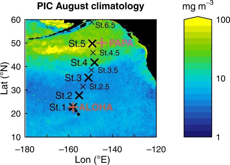New finding provides better understanding of oceans' capacity to absorb atmospheric carbon dioxide