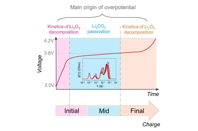 New findings on the lithium-oxygen battery: Overpotential and its causes