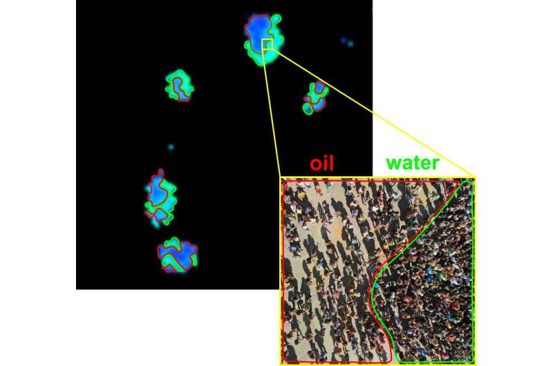 New Fluorescent Approach Reveals Different DNA Densities in Stem Cells