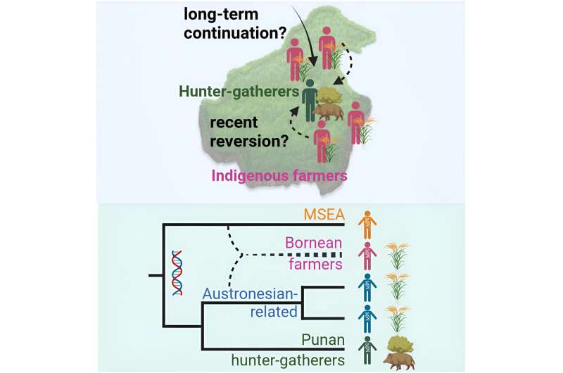 New genetic research uncovers the lives of Bornean hunter-gatherers