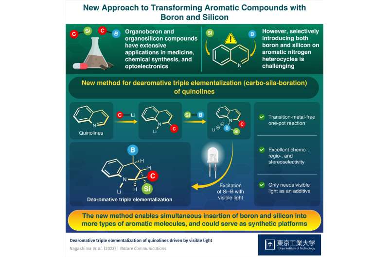 New horizons for organoboron and organosilicon chemistry with triple elementalization